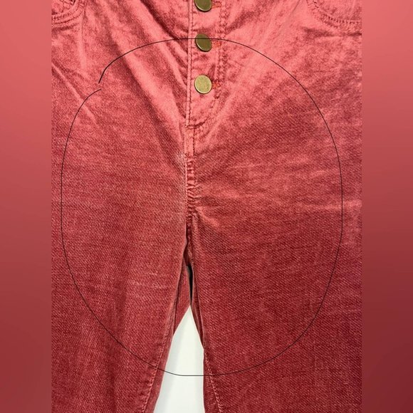 Loft Pink Velvet High Waist Button Fly Academia Skinny Pants Size 10 - Picture 7 of 11